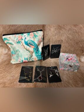 🪶Beautiful bird themed jewelry jar 🪶